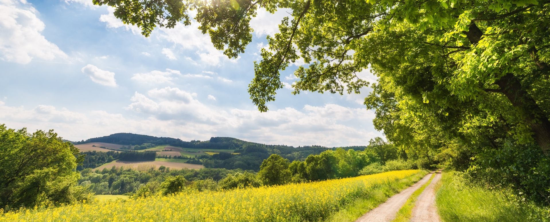 Tourist-Info | Kreisstadt Tauberbischofsheim